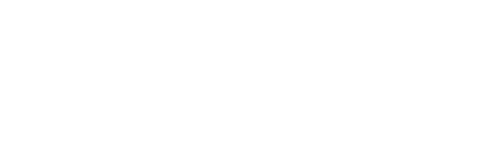 logo Verthus
