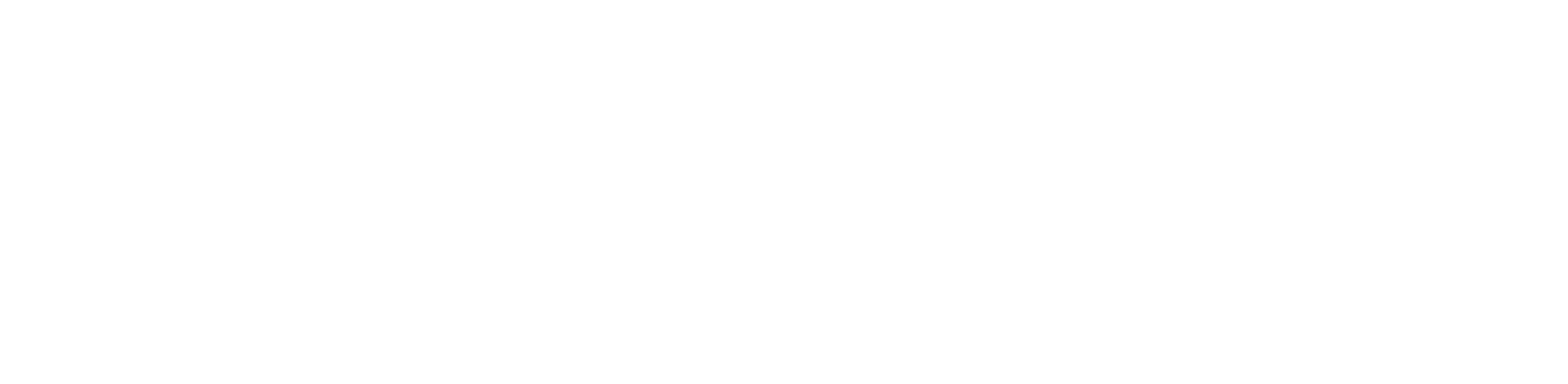 logo Vermeersch Services